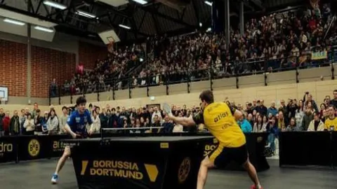 BB贝博艾弗森体育